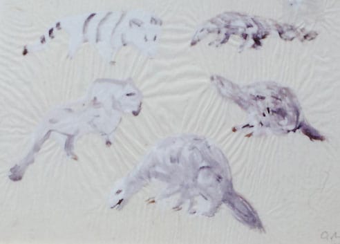 animal sketches by mark tobey