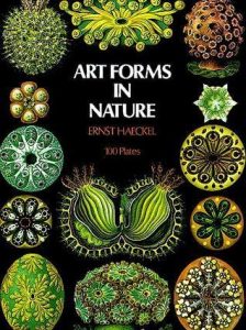 "Art Forms in Nature" by Ernst Haeckel
