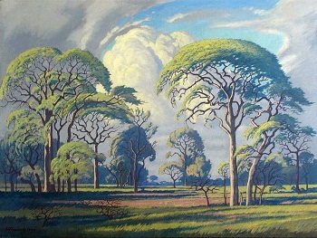 Nature in Art depicted by Hardkoolbome – Bosveld