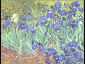 Impressionism art depicted by Irises