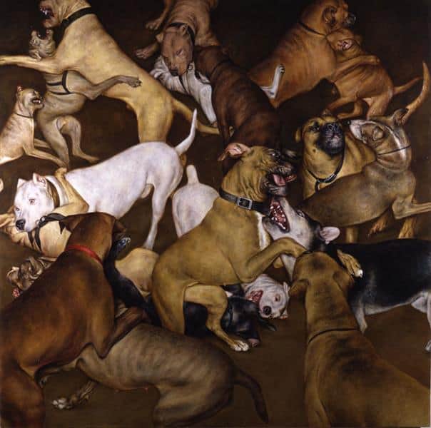 dogs fighting by dan witz