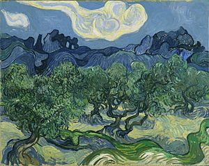 Olive Trees by Vincent van Gogh