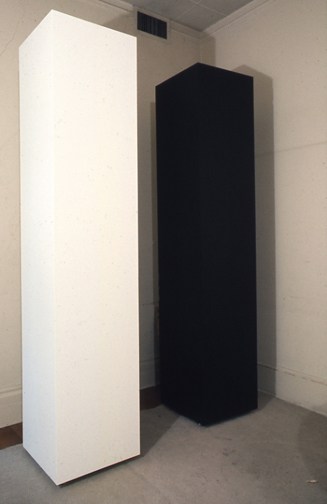 seed and root by anne truitt
