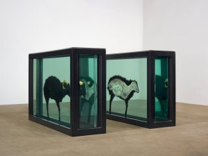 The Black Sheep with Golden Horns