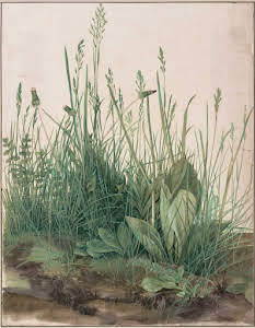 The Large Turf