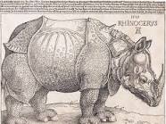 The Rhinoceros